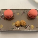 アルテリーベ - 