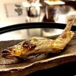 樋口 - 身のしまった高津川の鮎　わたの苦味が強く美味しかった！