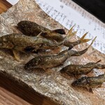 割烹 市川 - 鮎の塩焼き