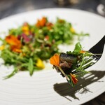 アルギュロス - 