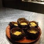 アルギュロス - 