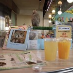 小動物カフェ はなはな - 
