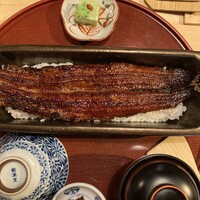 京都祇園うなぎ四代目菊川 - 
