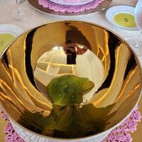 SALONE TOKYO - 