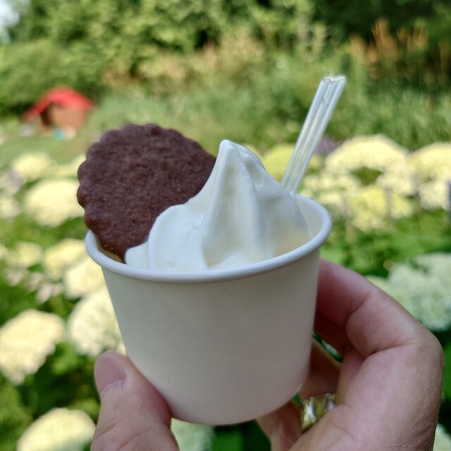 ノンノの小屋 - 美瑛（スイーツ）の写真