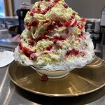 カモメ氷菓店 - かき氷　濃厚ピスタチオ✖︎木苺