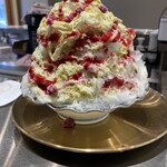 カモメ氷菓店 - かき氷　濃厚ピスタチオ✖︎木苺