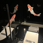 SAMURAI dos Premium Steak House 八重洲鉄鋼ビル店 - 