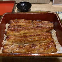 うなぎ 目白ぞろ芽 - 