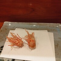 天冨良 よこ田 - 