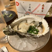 魚斉 - 岩かき