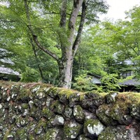 クレソン リバーサイド ストーリー 旧軽井沢 - 