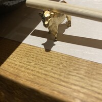 北新地はらみ 法善寺店 - 