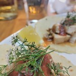 タコス　ハルディン - 24/06