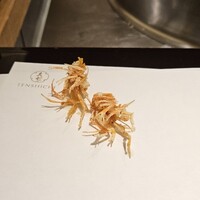 天七 - 才巻海老の脚