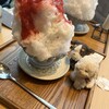 天然かき氷&パフェとちゃんぽん たち花