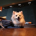 Japanese cuisine Kasuke - 