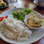 かっぱ倶楽部 - 