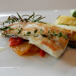 アロマティコ - コチのアップ