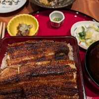 炭焼 うな富士 有楽町店 - 