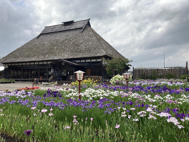 鯉艸亭 - 十和田市（そば）の写真