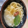 宝うどん