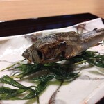 下鴨茶寮 東のはなれ - 