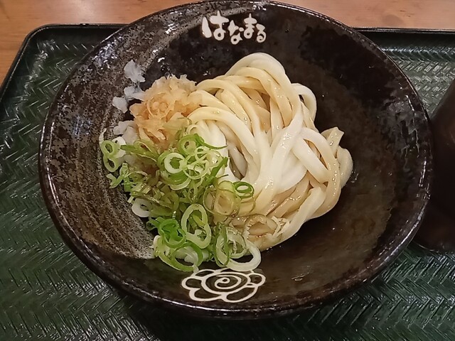 Hanamaru Udon Bivi Nijo Ten photo 5