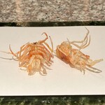 天麩羅 巽 - 才巻海老の足