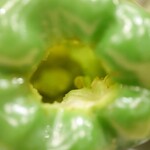 里葉亭 - ピーマン