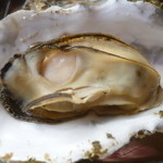 久保田水産 - 蒸し牡蠣アップ/2014年1月訪問