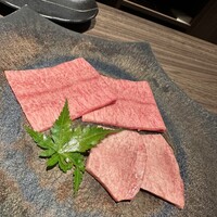 Beef Laboratory - 