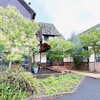 カフェ クウネル - 緑豊かで、キレイにされてます♬
カフェ クウネルさん