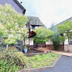 カフェ クウネル - 緑豊かで、キレイにされてます♬
カフェ クウネルさん