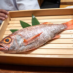 のどぐろ専門 銀座中俣 極 - 