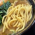 とらきち家 光 - 王道家の中太麺。