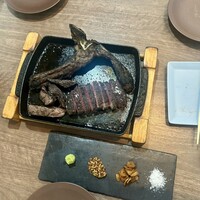 アカミヤコウシ - 