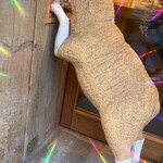 大人洋食 Bistro1996, - 