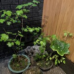 日本橋蛎殻町 すぎた - 雨のすぎたは初かも