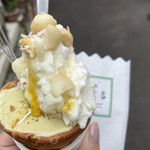 HAKONE DOLCE STUDIO STELLA - 