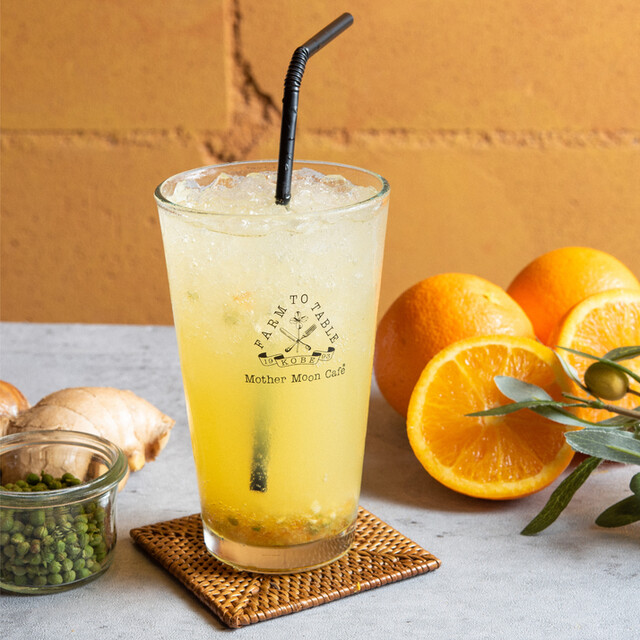 lemonadeさま専用ページ♪(もすもす様専用ページ lemonadeさま専用ページ♪(もすもす様専用ページ