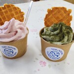 鳥の海 ふれあい市場 - 娘はアセロラ450円、夫は春菊400円✨春菊は抹茶に近いお味だそうです(ФωФ)