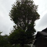 古民家 やまから - 