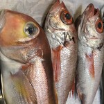 廻船酒蔵 ベッチャーの胃ぶくろ - 