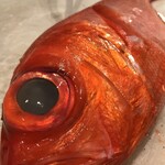 廻船酒蔵 ベッチャーの胃ぶくろ - 