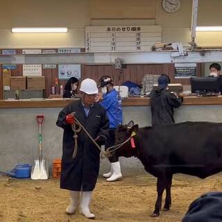 国内外の肉マニアから牧場視察のオファー多数、いま注目の榊山牛