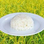 タイ香り米　♪ジャスミンライス♪