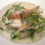 Ｍéｃｈａｎｔ　Ｌｏｕｐ - 明石から桜鯛