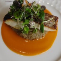 IL PINOLO 銀座 - 