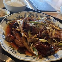 雪梅花 菜根譚 - 